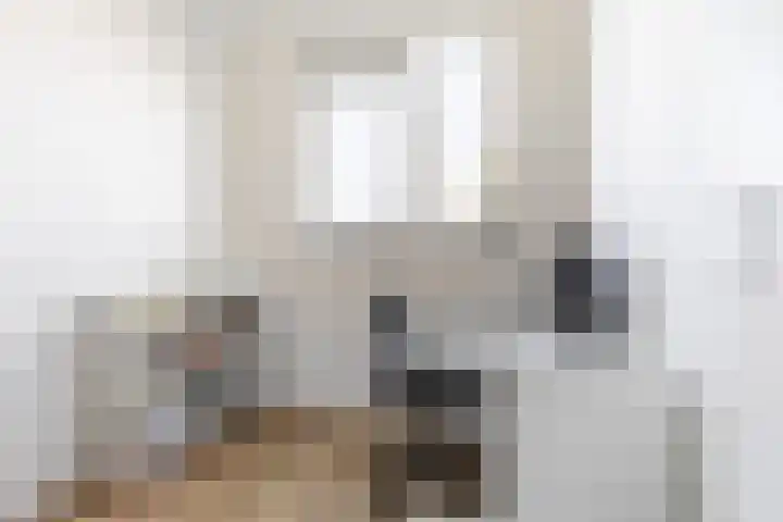 Waterdrieblad 25 Velserbroek thumbnail 20