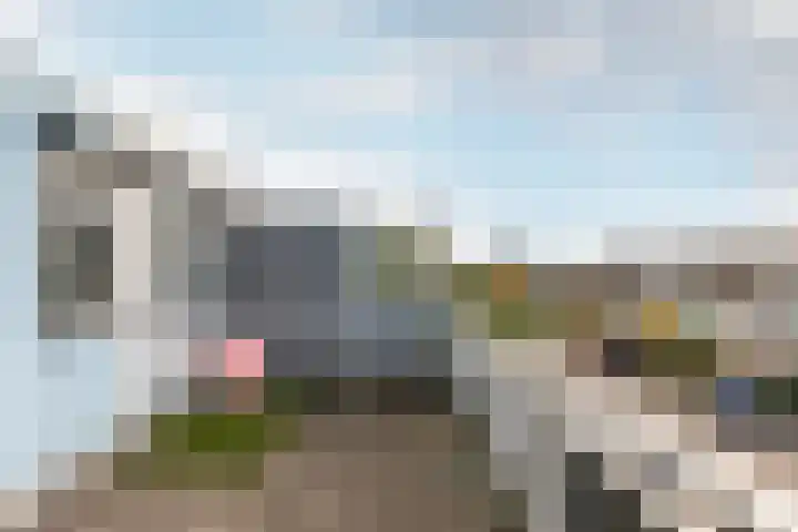 Waterdrieblad 25 Velserbroek thumbnail 24
