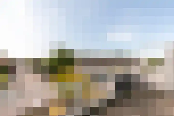 Waterdrieblad 25 Velserbroek thumbnail 25