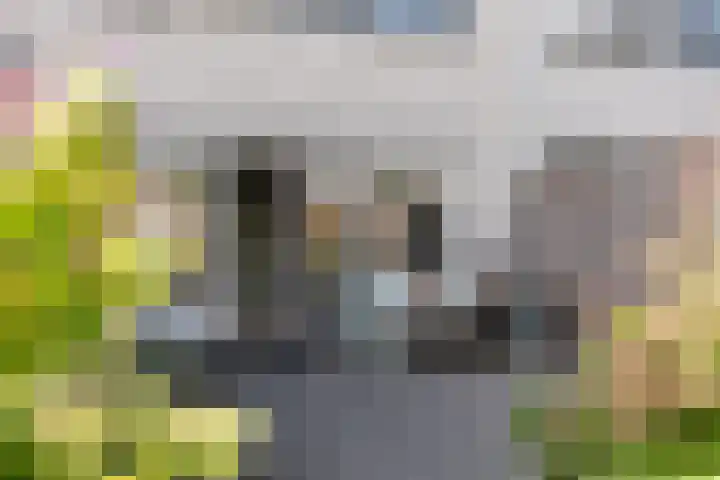 Waterdrieblad 25 Velserbroek thumbnail 29