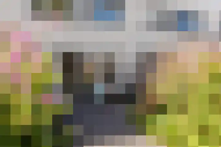 Waterdrieblad 25 Velserbroek thumbnail 30