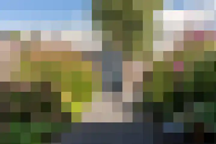 Waterdrieblad 25 Velserbroek thumbnail 31