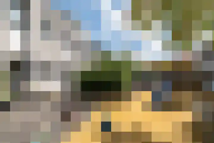 Waterdrieblad 25 Velserbroek thumbnail 34