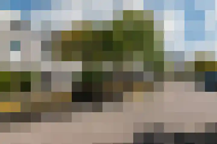 Waterdrieblad 25 Velserbroek thumbnail 35