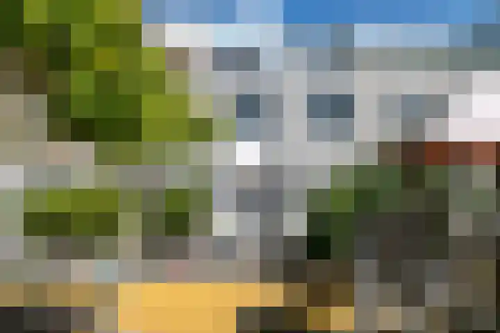 Waterdrieblad 25 Velserbroek thumbnail 36