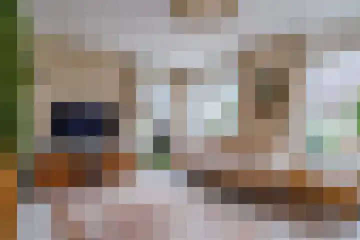 Waterdrieblad 27 Oudkarspel thumbnail 10
