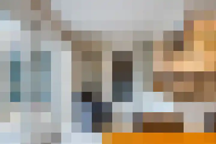 Waterdrieblad 27 Oudkarspel thumbnail 21