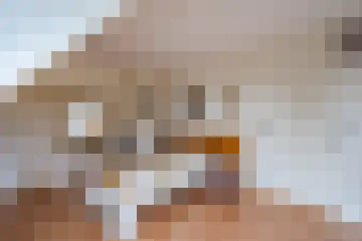 Waterdrieblad 27 Oudkarspel thumbnail 26