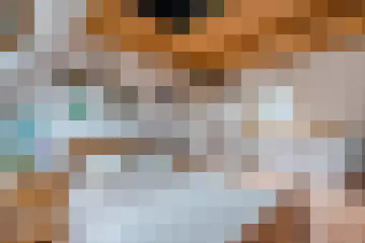 Waterdrieblad 27 Oudkarspel thumbnail 30