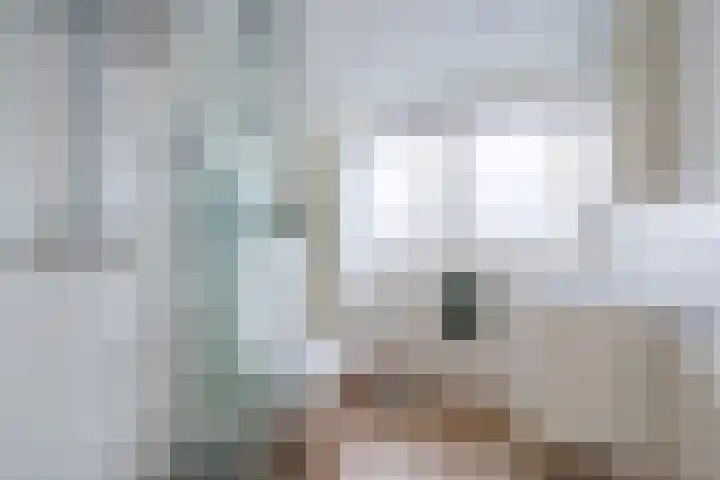 Waterdrieblad 27 Oudkarspel thumbnail 32