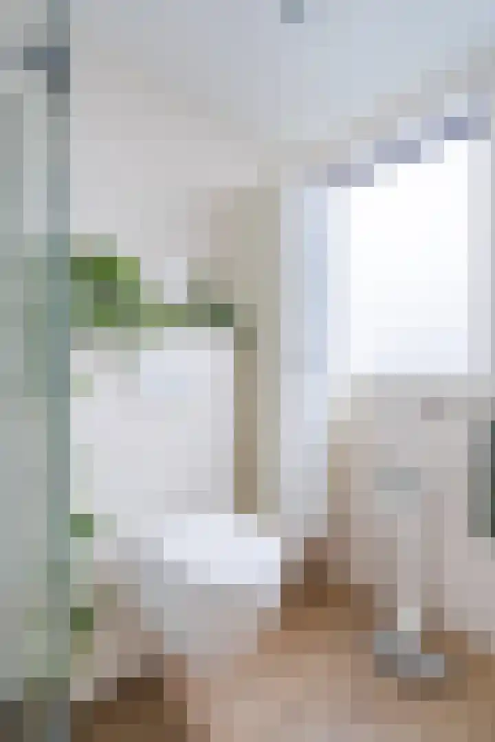 Waterdrieblad 27 Oudkarspel thumbnail 34
