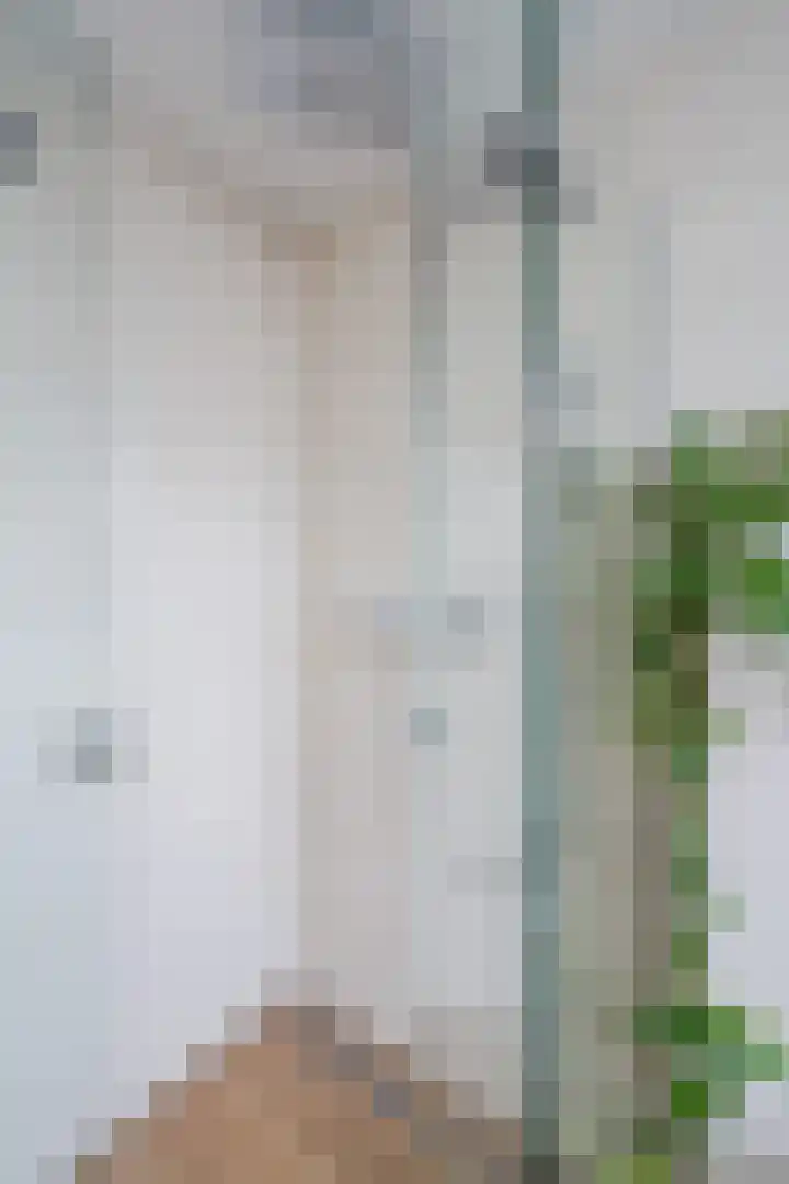 Waterdrieblad 27 Oudkarspel thumbnail 36
