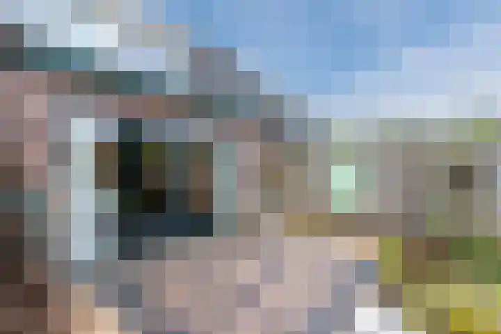 Waterdrieblad 27 Oudkarspel thumbnail 41