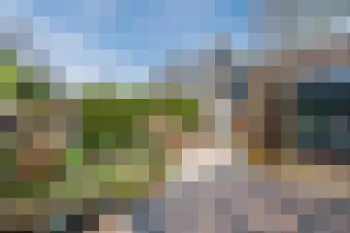 Waterdrieblad 27 Oudkarspel thumbnail 42