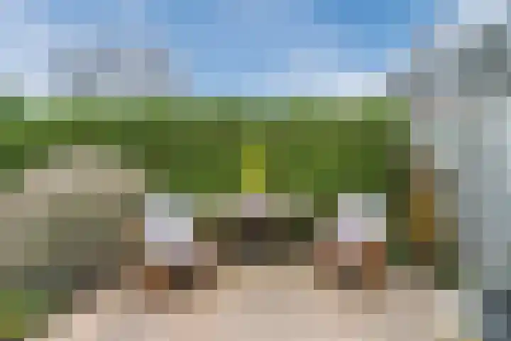 Waterdrieblad 27 Oudkarspel thumbnail 44