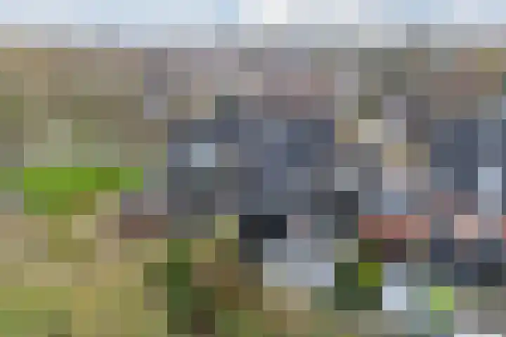 Waterdrieblad 27 Oudkarspel thumbnail 49