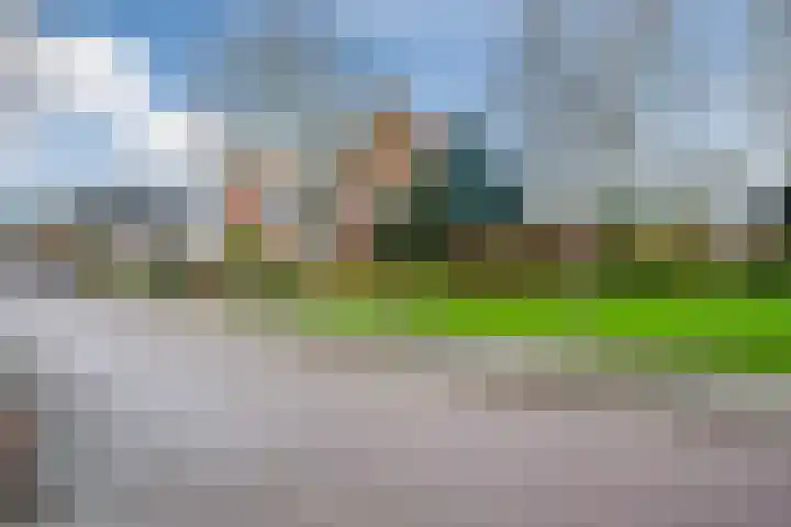 Waterdrieblad 27 Oudkarspel thumbnail 50