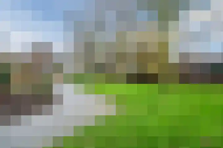 Waterdrieblad 27 Oudkarspel thumbnail 51
