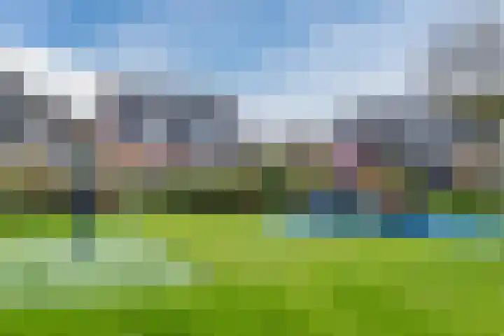 Waterdrieblad 27 Oudkarspel thumbnail 52