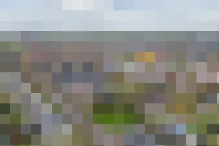 Waterdrieblad 27 Oudkarspel thumbnail 53