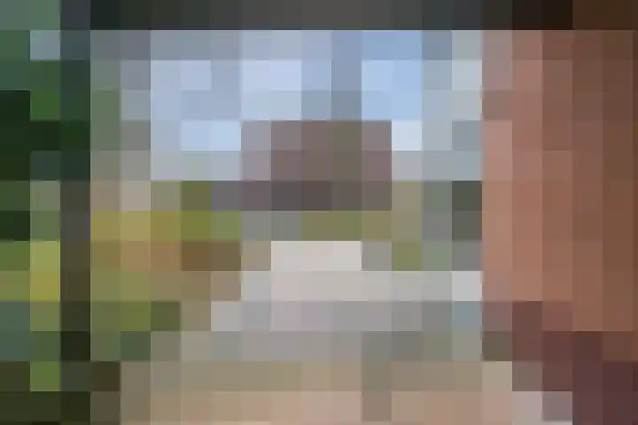 Waterdrieblad 27 Oudkarspel thumbnail 6