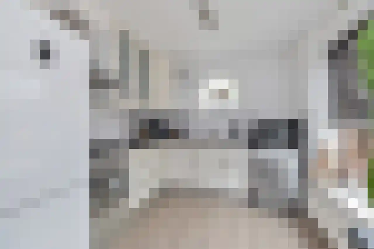 Waterdrieblad 3 Oudkarspel thumbnail 12