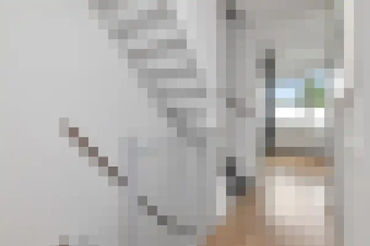 Waterdrieblad 3 Oudkarspel thumbnail 17