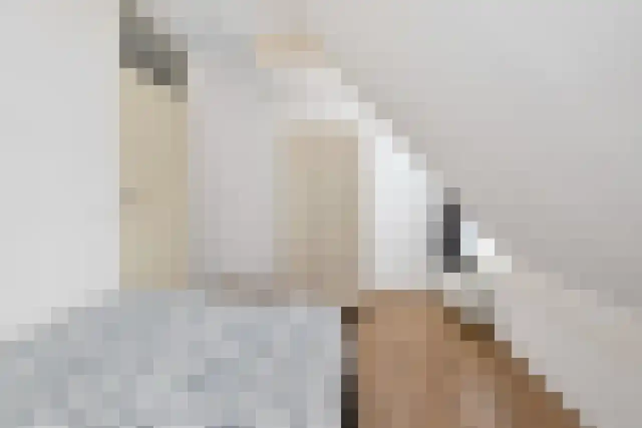 Waterdrieblad 3 Oudkarspel thumbnail 24