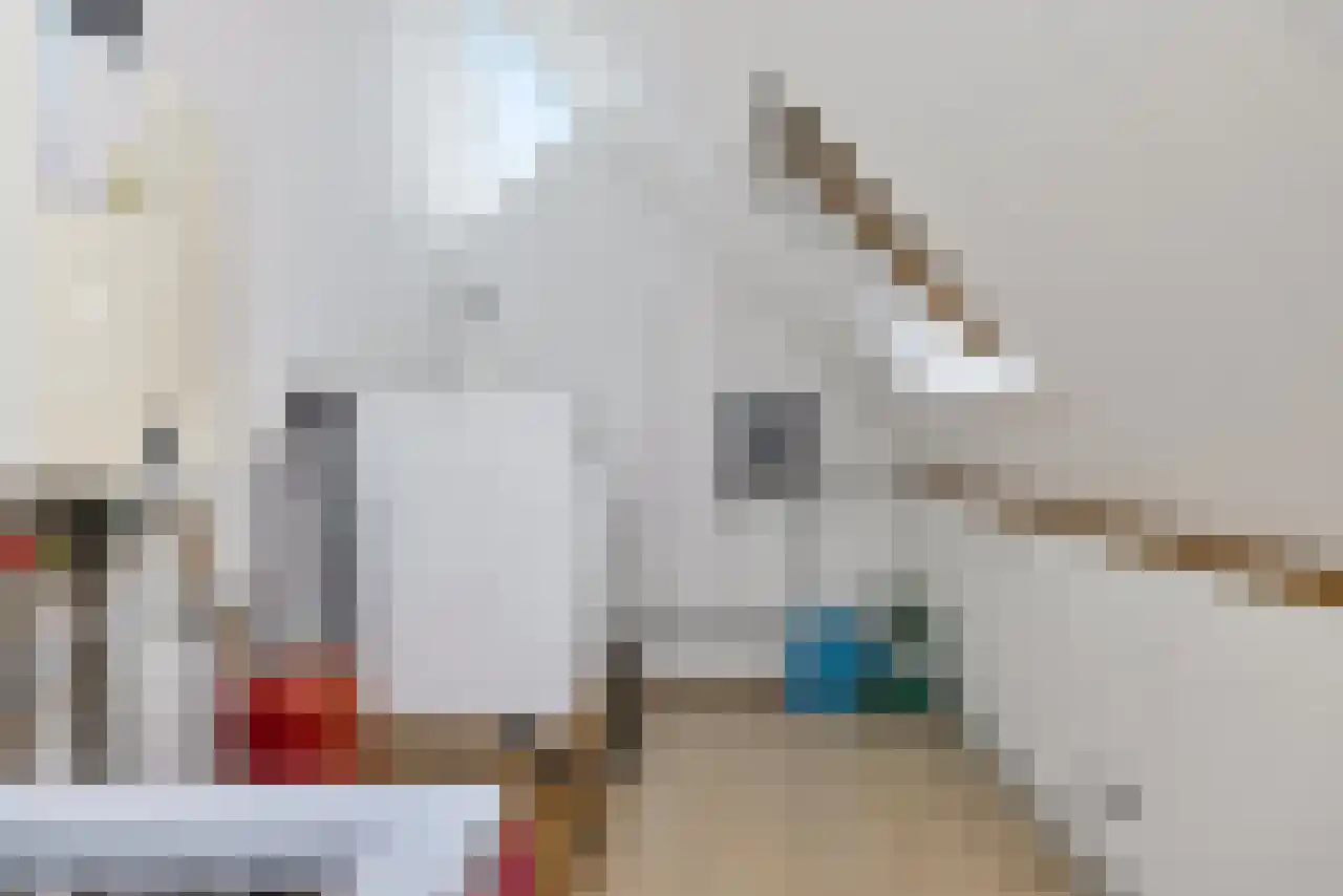 Waterdrieblad 3 Oudkarspel thumbnail 27
