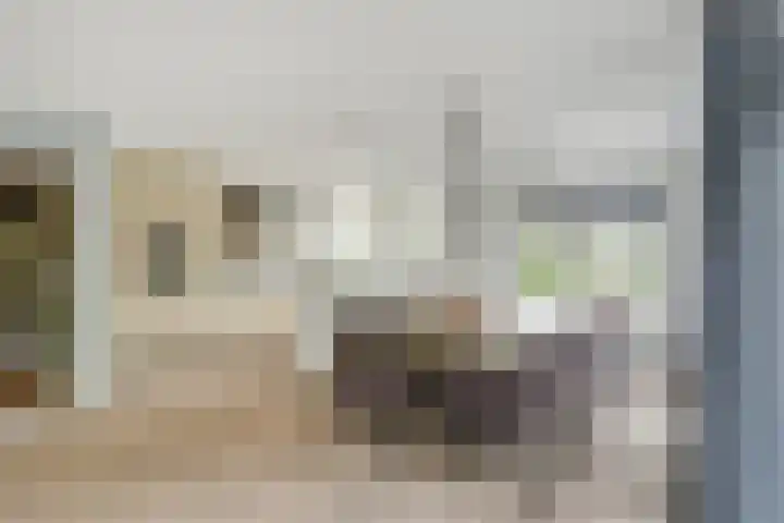Waterdrieblad 35 Oudkarspel thumbnail 14