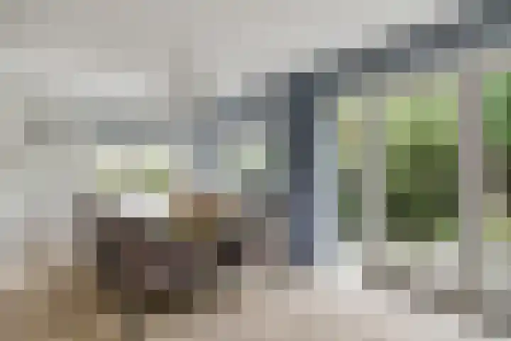 Waterdrieblad 35 Oudkarspel thumbnail 15