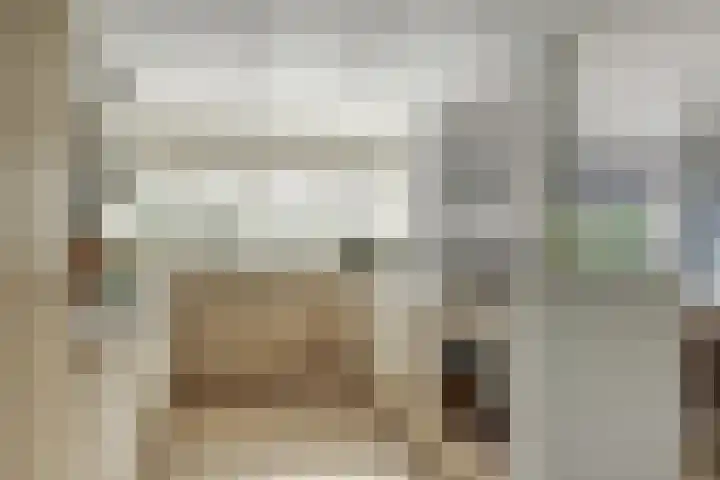 Waterdrieblad 35 Oudkarspel thumbnail 16