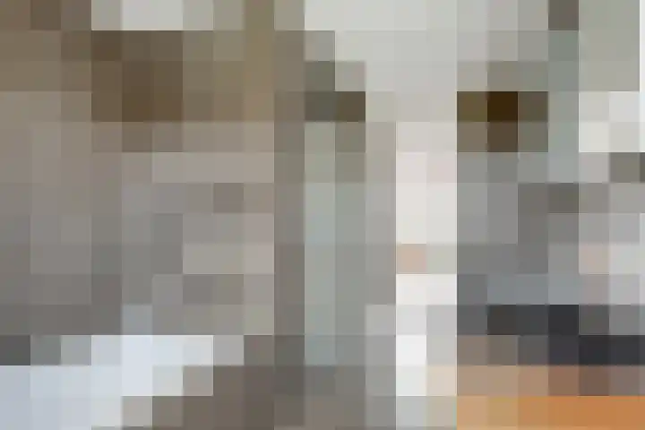 Waterdrieblad 35 Oudkarspel thumbnail 30