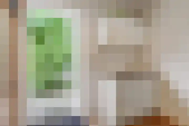 Waterdrieblad 35 Oudkarspel thumbnail 38