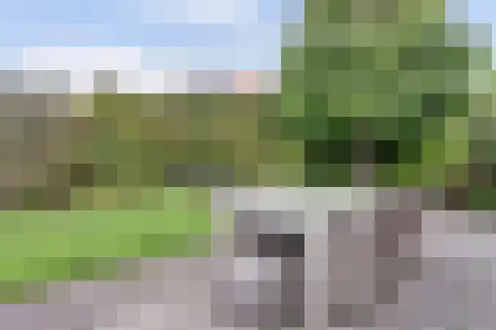 Waterdrieblad 35 Oudkarspel thumbnail 40