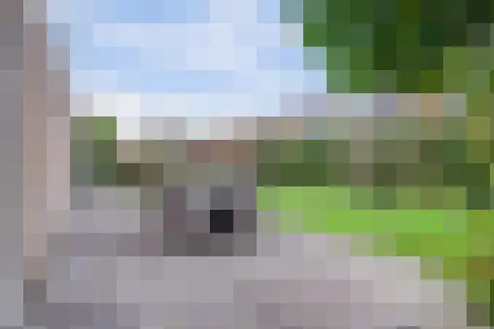 Waterdrieblad 35 Oudkarspel thumbnail 41