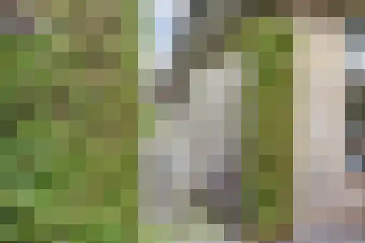 Waterdrieblad 35 Oudkarspel thumbnail 43