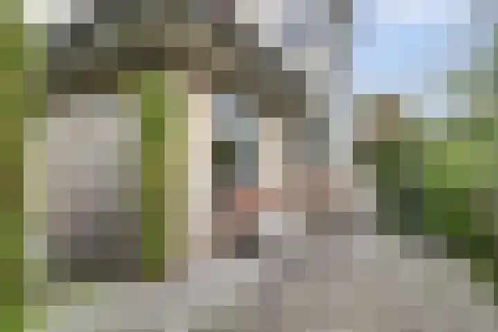 Waterdrieblad 35 Oudkarspel thumbnail 44