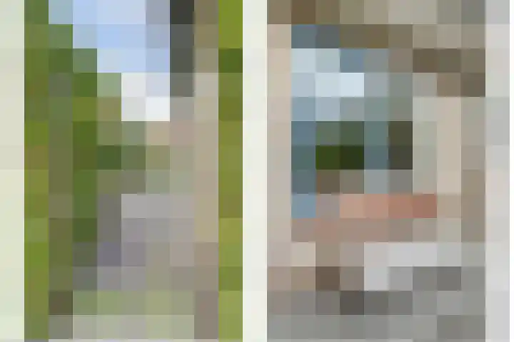 Waterdrieblad 35 Oudkarspel thumbnail 45