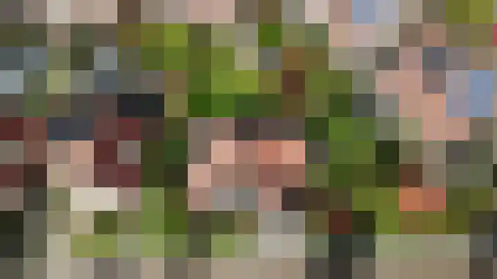 Waterdrieblad 35 Oudkarspel thumbnail 46