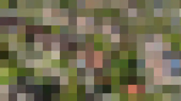 Waterdrieblad 35 Oudkarspel thumbnail 47