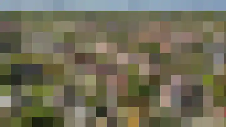 Waterdrieblad 35 Oudkarspel thumbnail 48