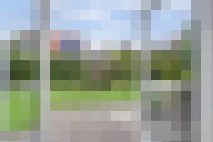 Waterdrieblad 35 Oudkarspel thumbnail 9