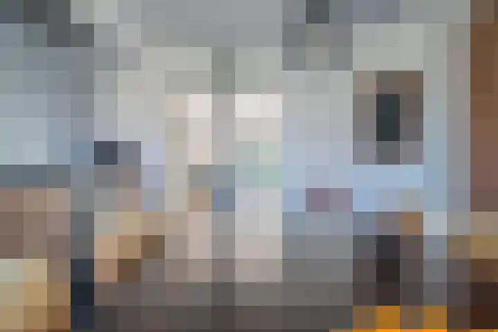 Waterdrieblad 47 Oudkarspel thumbnail 15