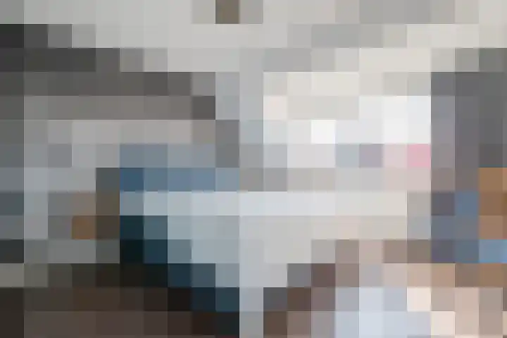 Waterdrieblad 47 Oudkarspel thumbnail 23