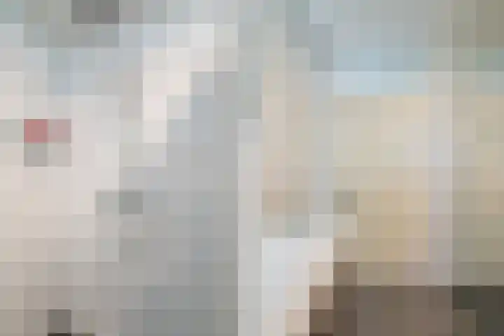 Waterdrieblad 47 Oudkarspel thumbnail 30
