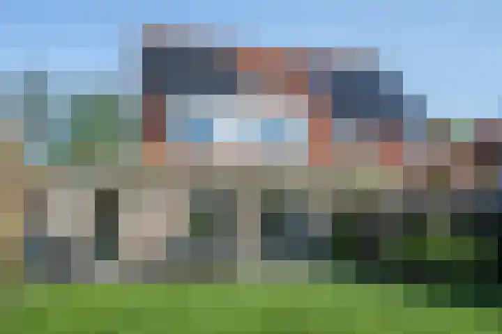 Waterdrieblad 47 Oudkarspel thumbnail 4