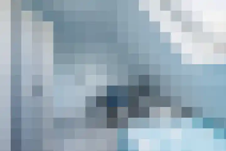 Waterdrieblad 47 Oudkarspel thumbnail 41
