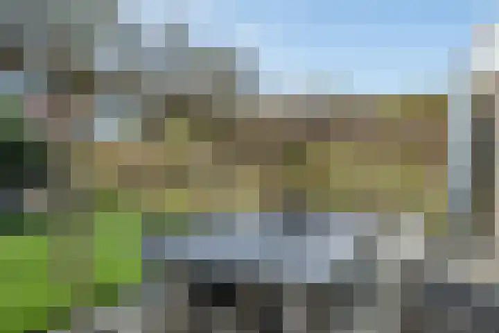 Waterdrieblad 47 Oudkarspel thumbnail 43