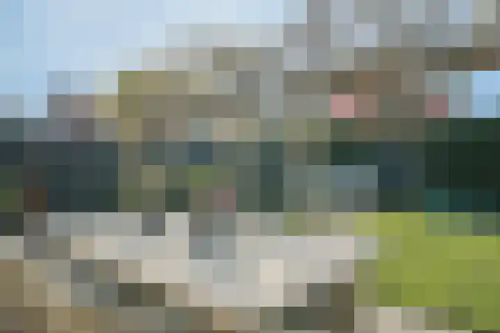 Waterdrieblad 47 Oudkarspel thumbnail 44
